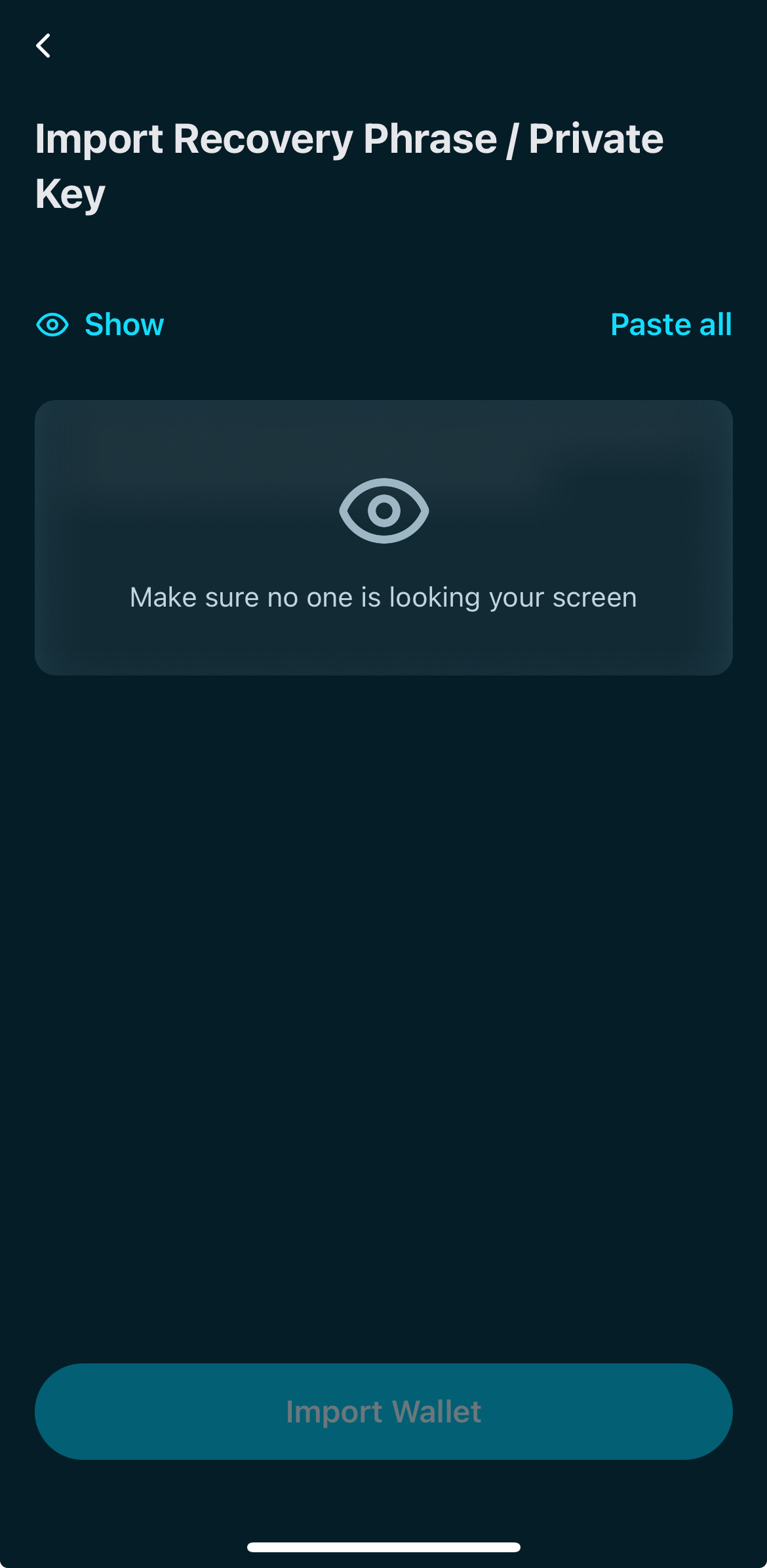 Screenshot of Kastle Import Recovery Phrase Page