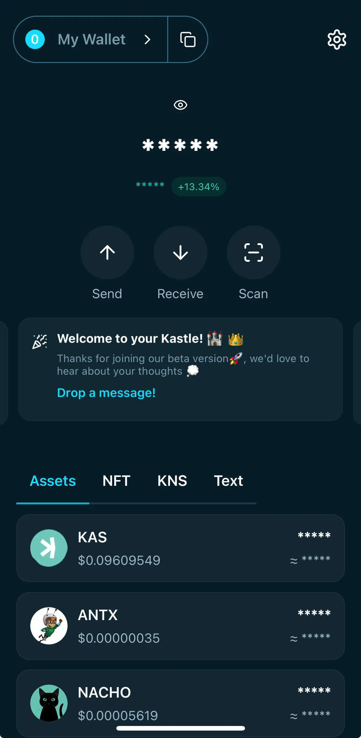 Screenshot of Kastle Dashboard Page