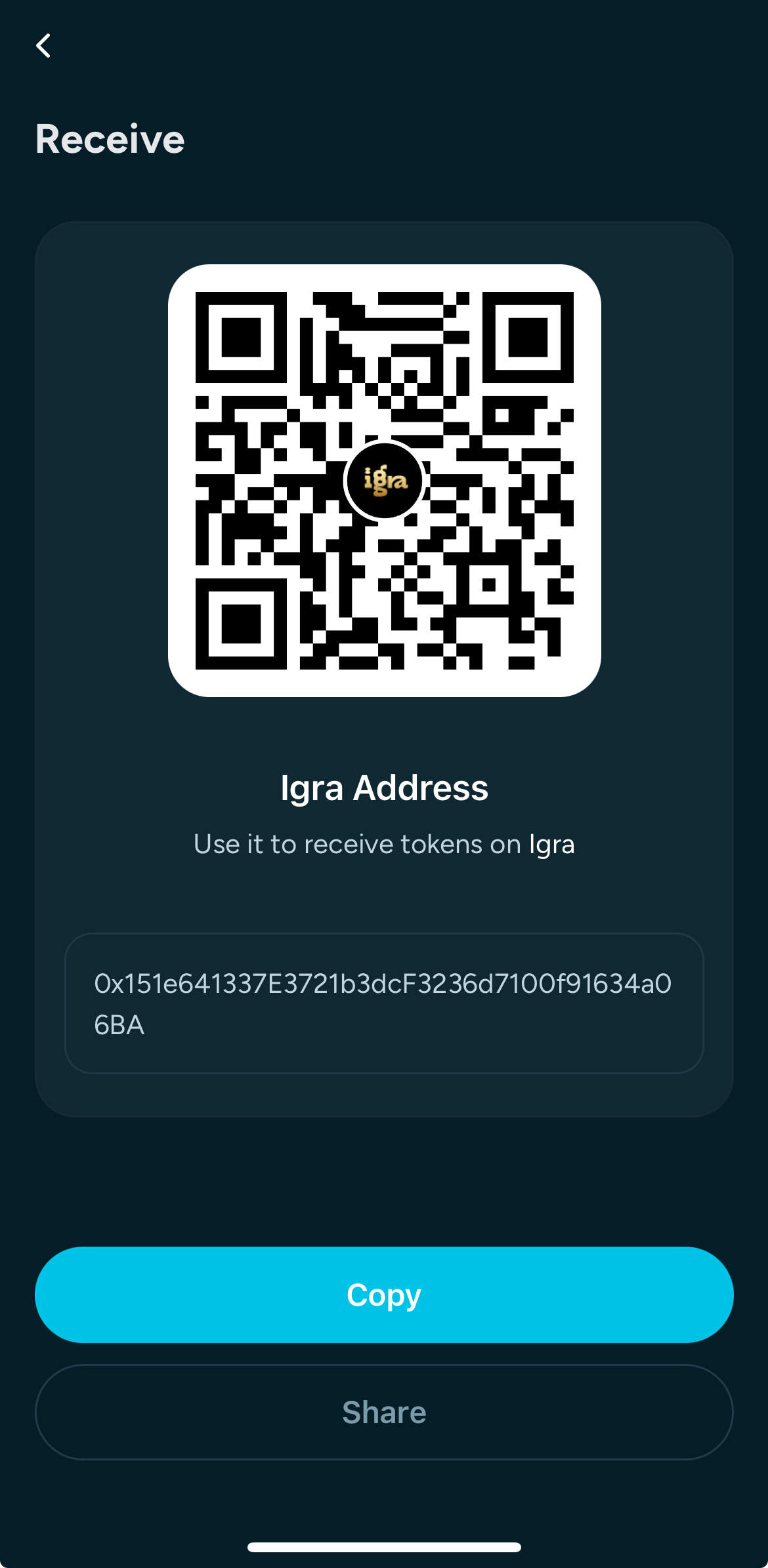 Screenshot of Kastle receiving wallet QR Page