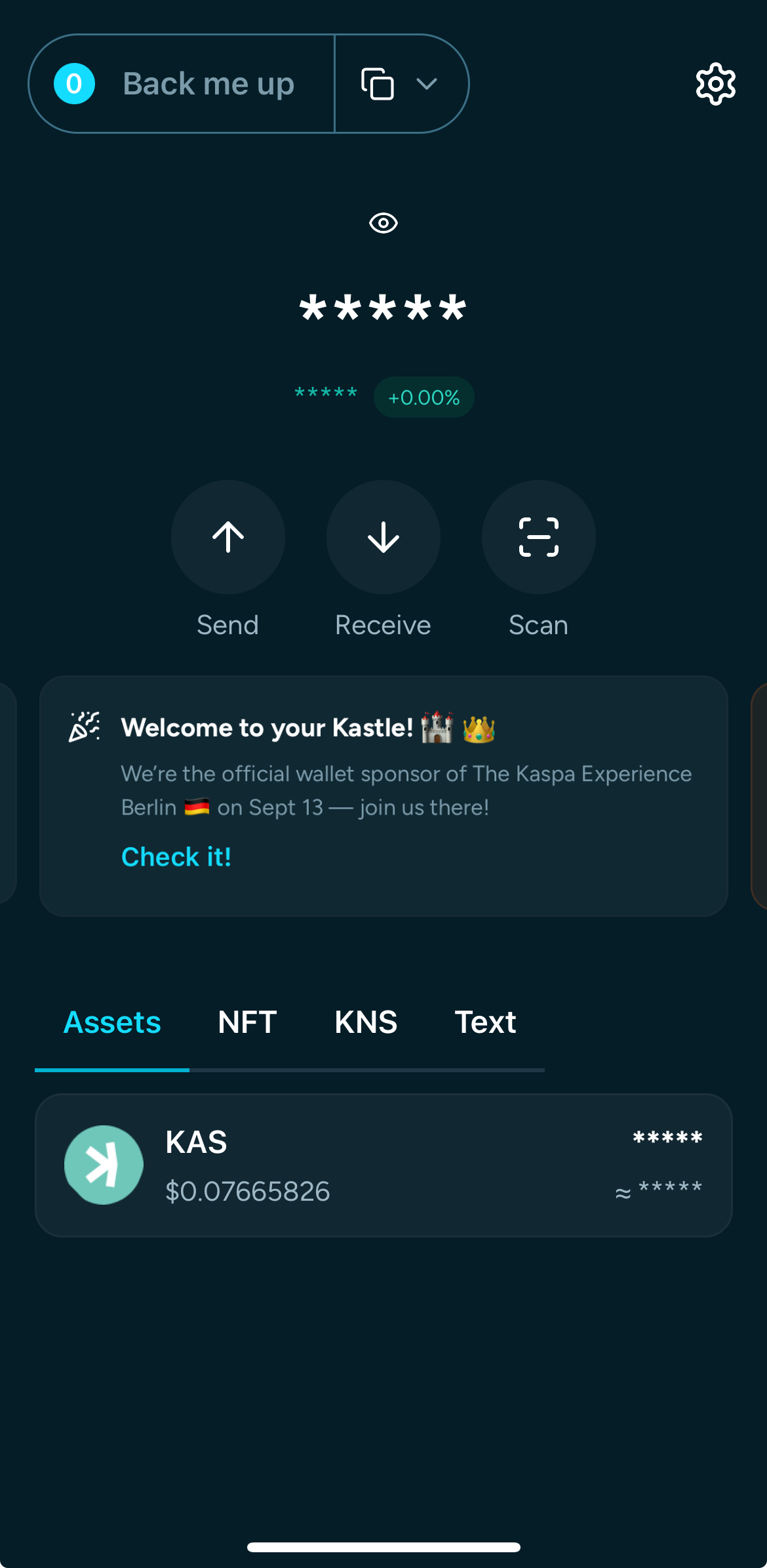 Screenshot of Kastle dashboard Page