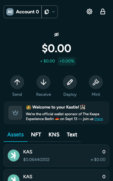 Screenshot of Kastle extension dashboard Page