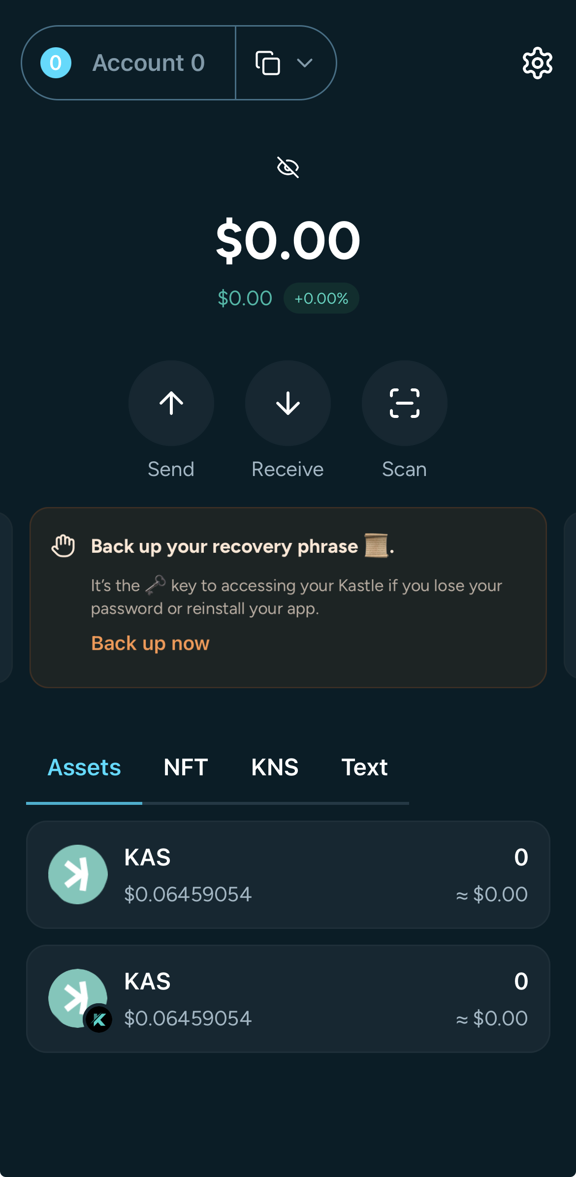 Screenshot of Kastle dashboard backup secret banner Page