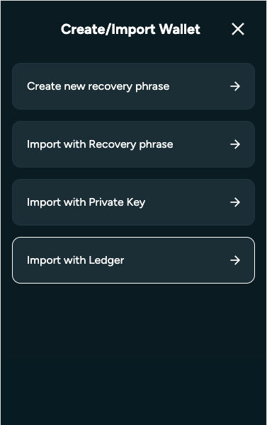 Screenshot of Kastle import wallet Page