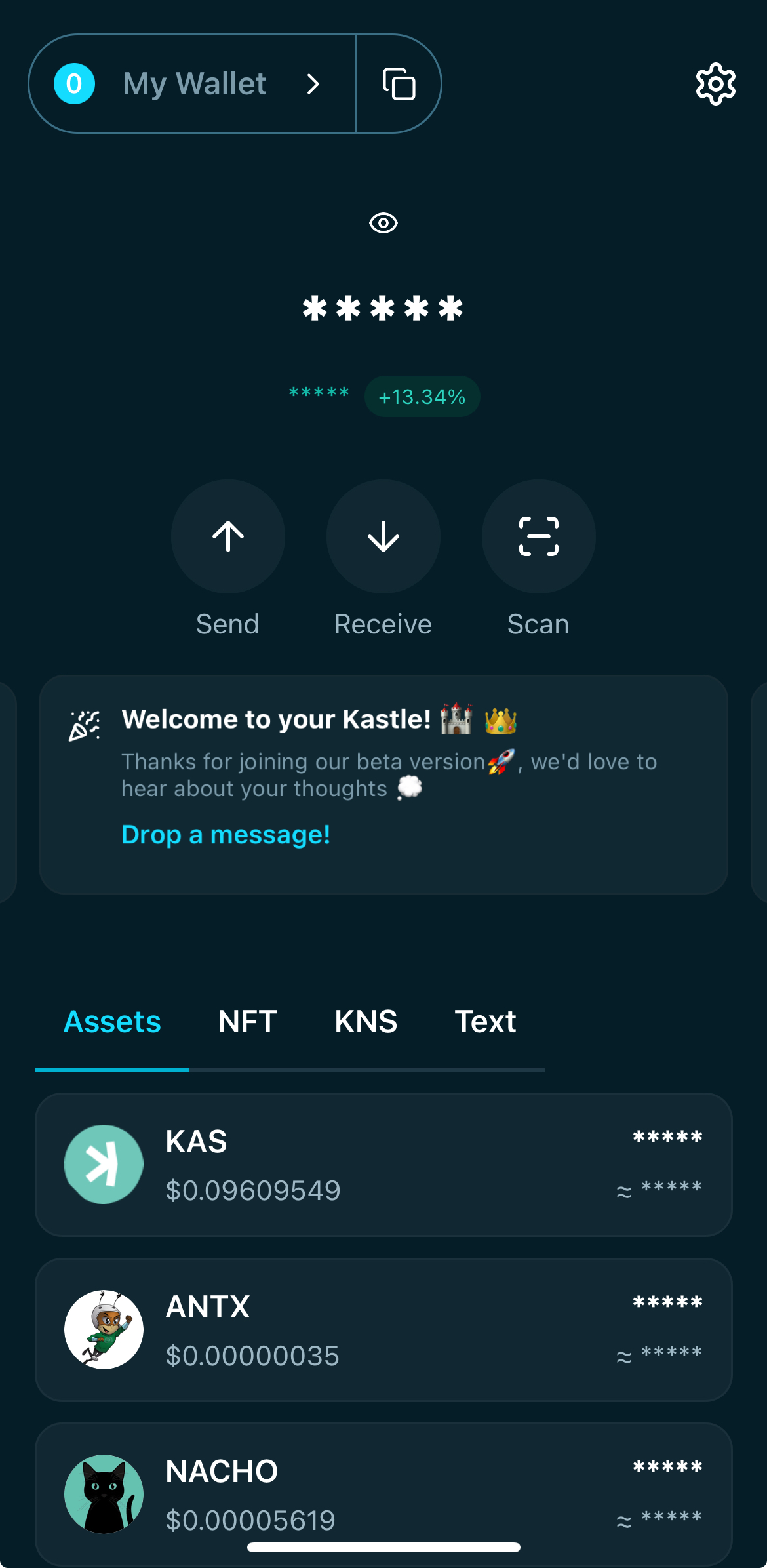 Screenshot of Kastle Dashboard Page